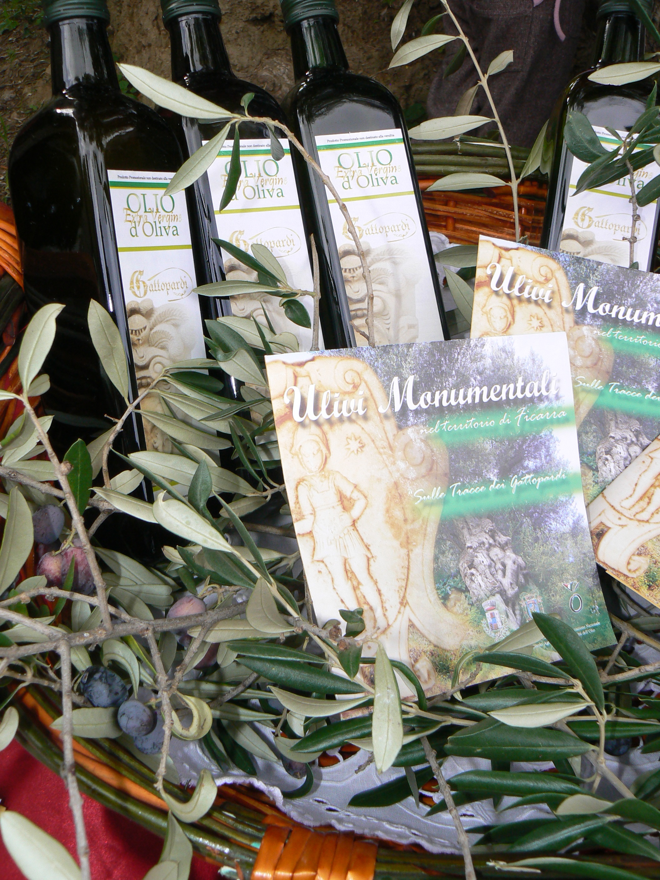 Museo didattico dell’oliva “Minuta” -Storia e Tradizione dell’olivicoltura dei Monti Nebrodi-