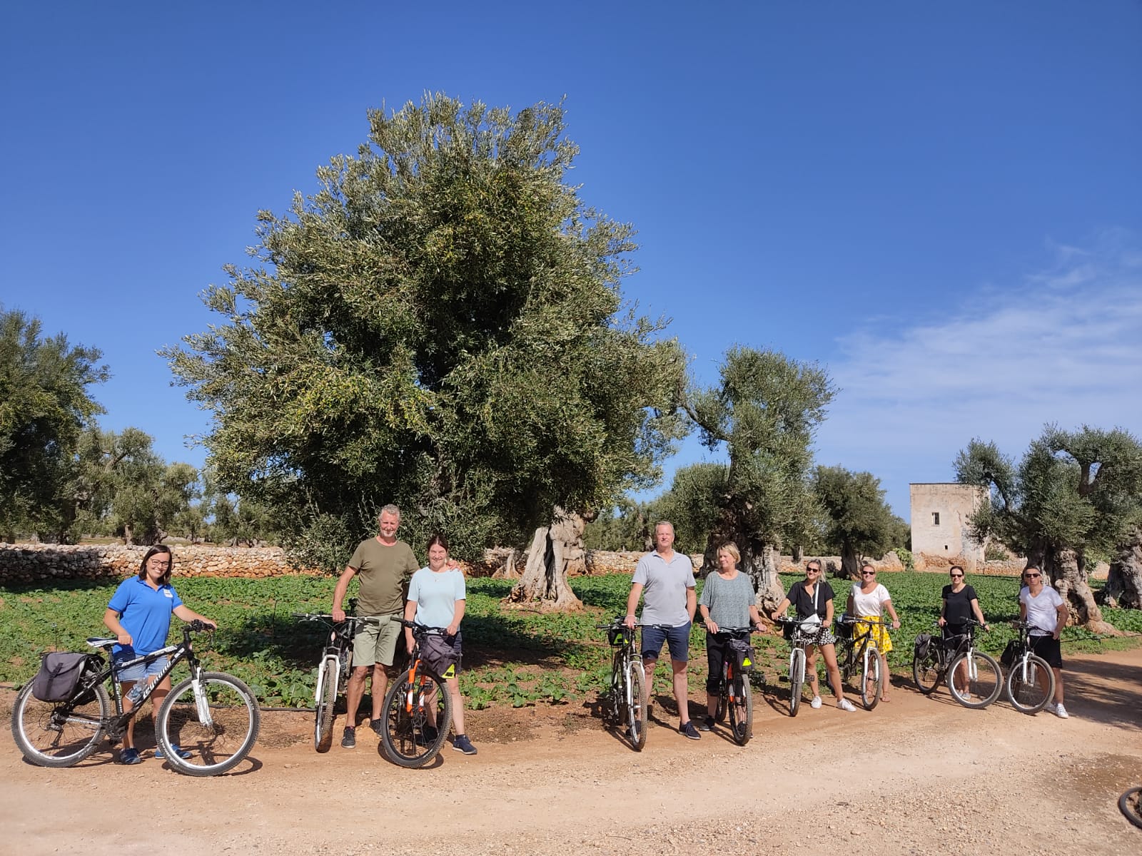Bike tour tra ulivi millenari, frantoi e masserie fortificate