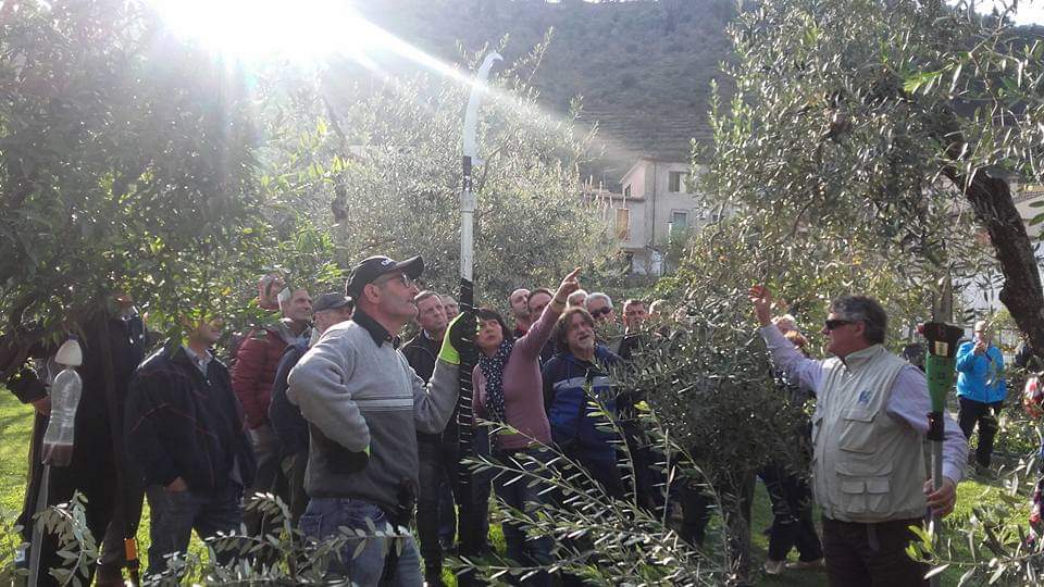 Scopri di più sull'articolo Naturalmente Lenola