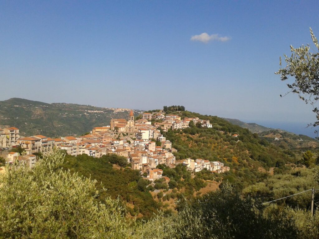 Scopri di più sull'articolo Itinerario storico-naturalistico “Sulle Tracce del Gattopardo”