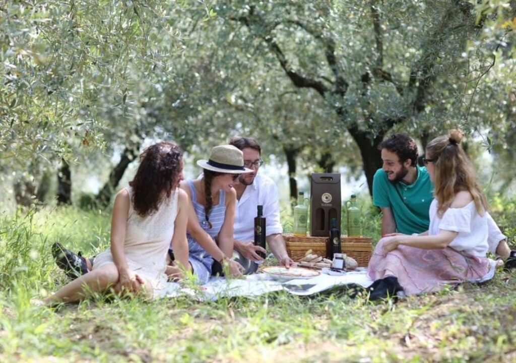 Scopri di più sull'articolo Pic-nic tra gli Ulivi