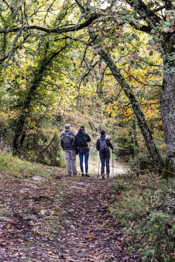 Scopri di più sull'articolo Lungo i sentieri dell’Extravergine/Along The Evo Trails