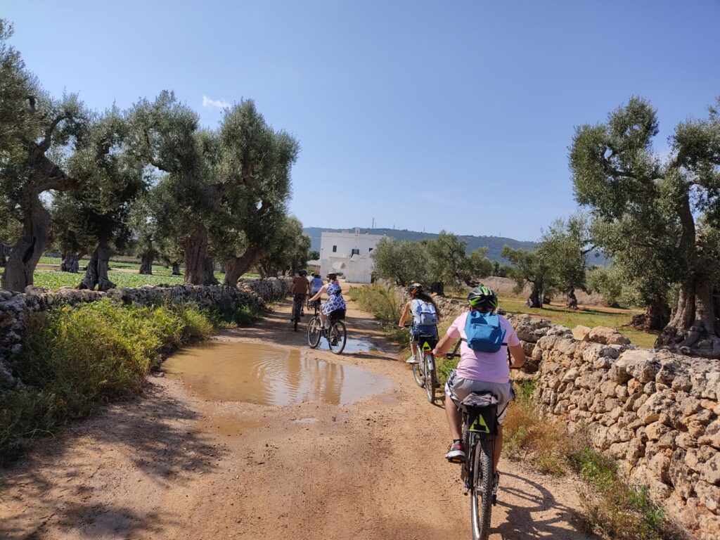 Scopri di più sull'articolo Bike tour tra ulivi millenari, frantoi e masserie fortificate
