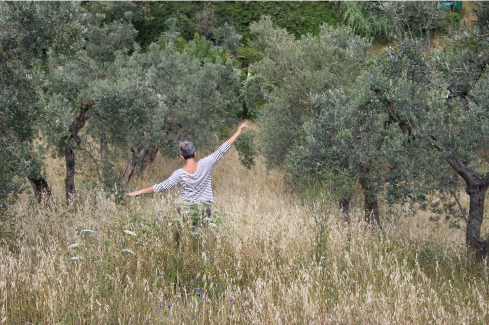 Scopri di più sull'articolo Alla scoperta dell’olivo: passeggiata sensoriale con degustazione di olio