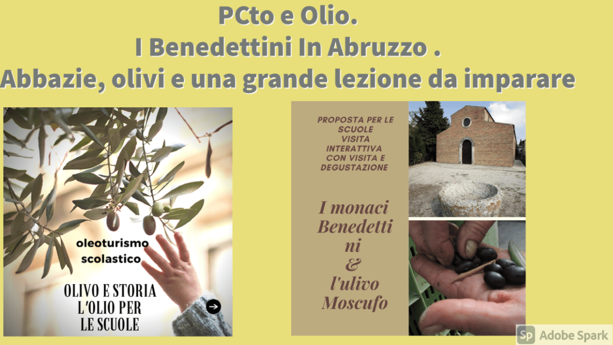 Scopri di più sull'articolo La Via dei Benedettini e l’ulivo d’Abruzzo: Proposta culturale e attiva per gli Istituti Scolastici