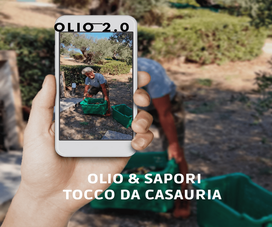 Scopri di più sull'articolo OLIO 2.0. Degustazioni e tecnologia nel borgo del vento e dell’olio: Tocco da Casauria