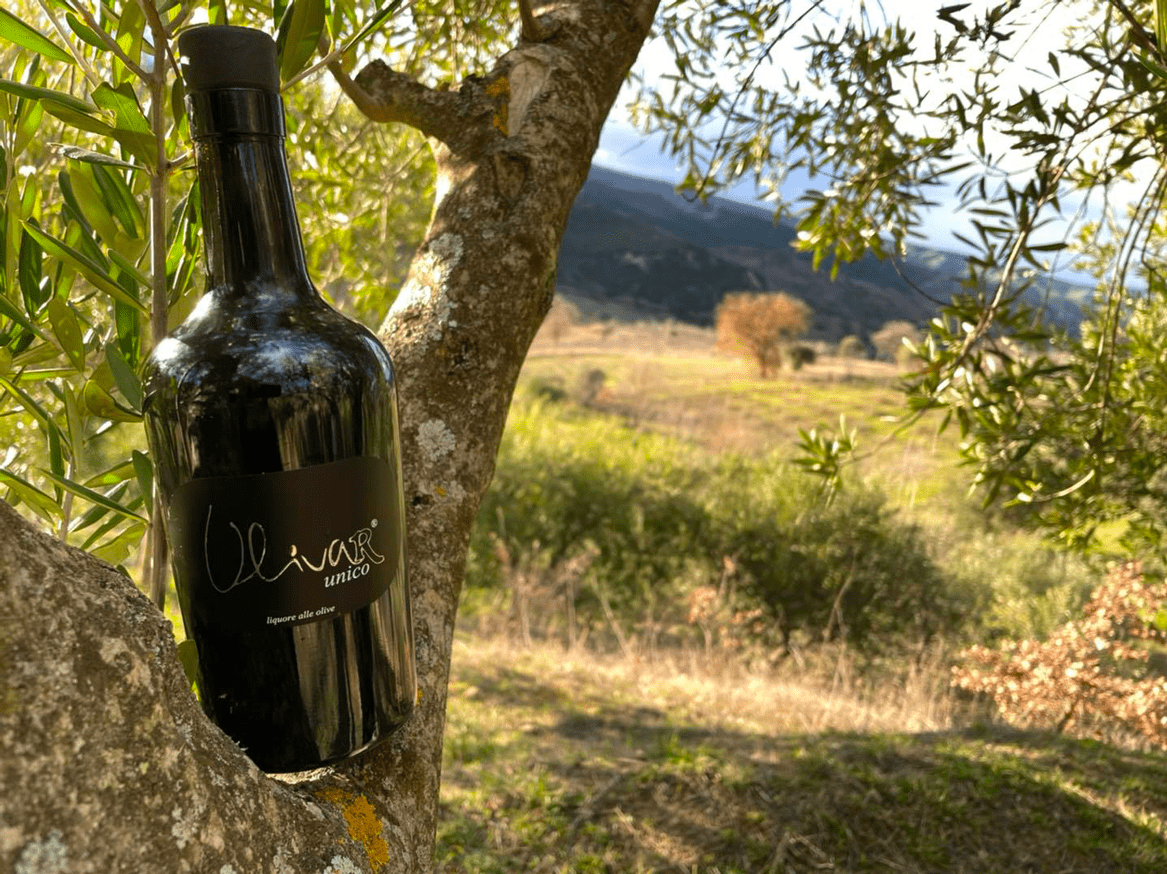Scopri di più sull'articolo Degustazioni Amaro alle olive Ulivar e Olio EVO