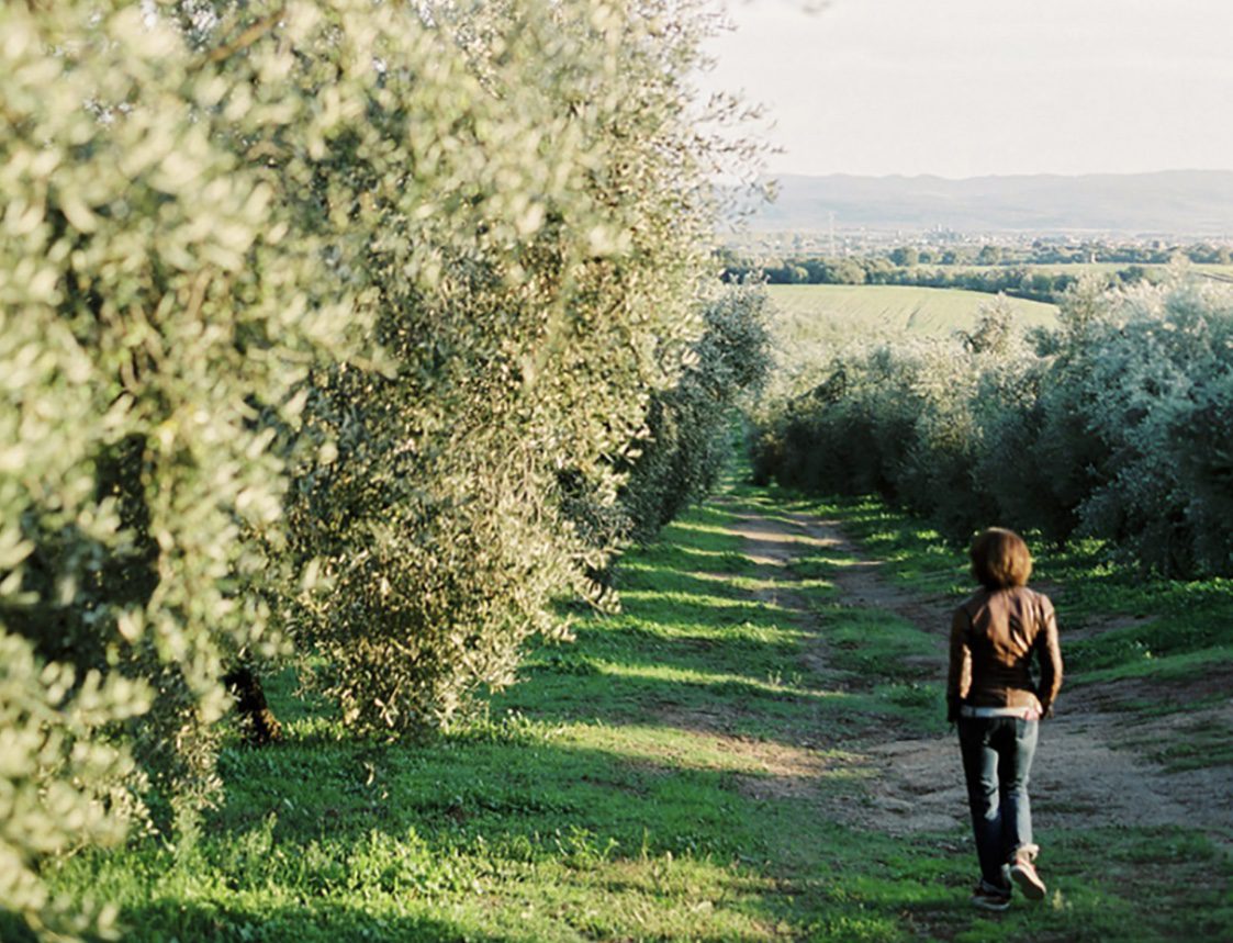 Scopri di più sull'articolo Un territorio di rara bellezza e un olio di grande bontà