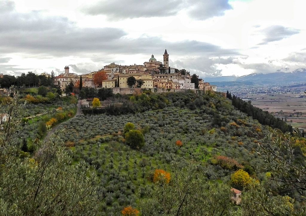 Scopri di più sull'articolo “Ecomuseo del paesaggio olivato e dell’olio”