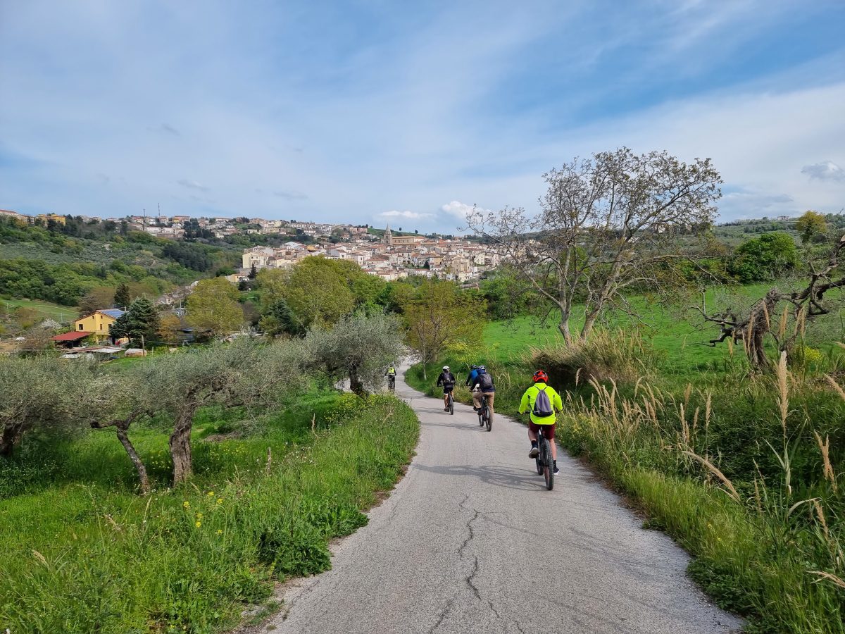 Scopri di più sull'articolo Tour dell’olio: tra ebike, assaggi e racconti