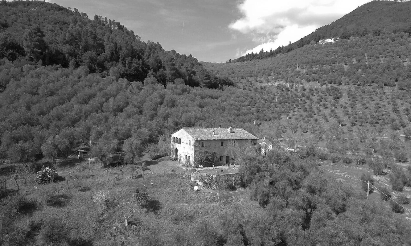 Scopri di più sull'articolo La Val di Vico: una storia olivicola di 2000 anni