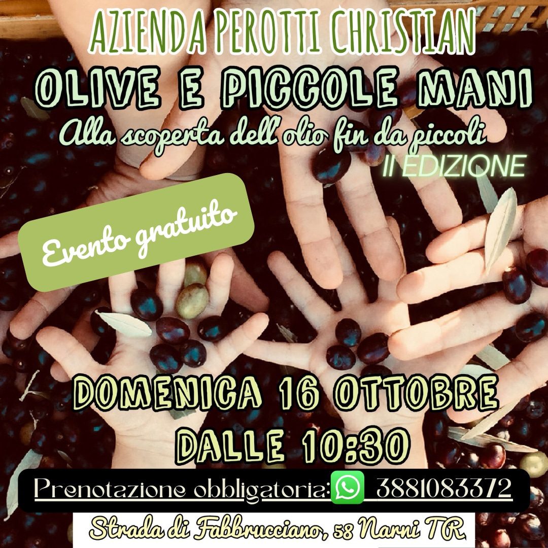 Scopri di più sull'articolo Olive & Piccole Mani