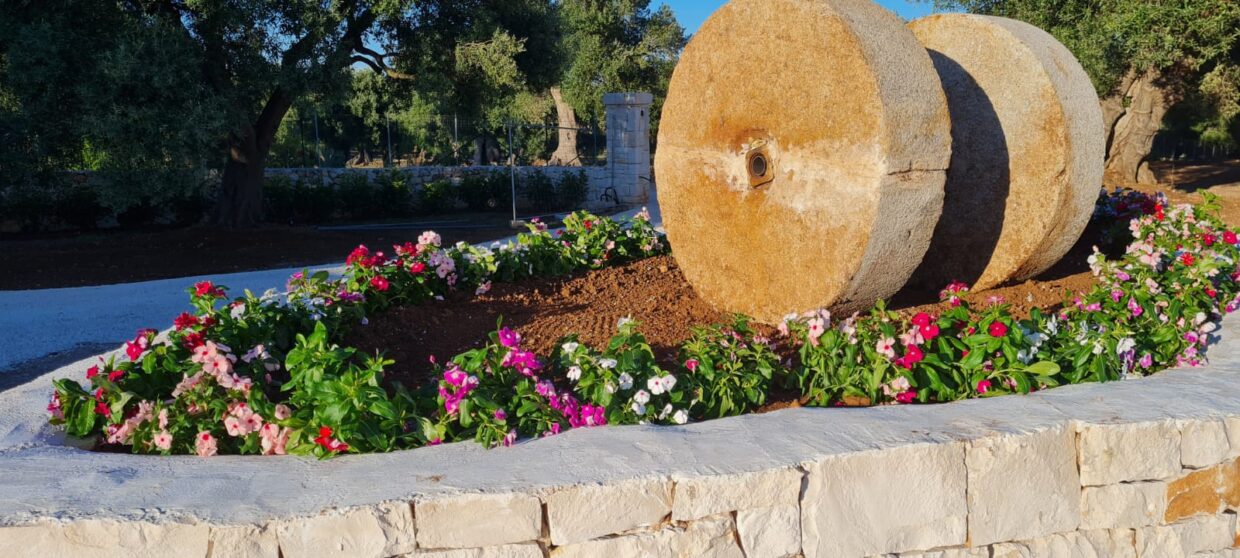 Scopri di più sull'articolo Tra gli Olivi e il Frantoio, tour con degustazione