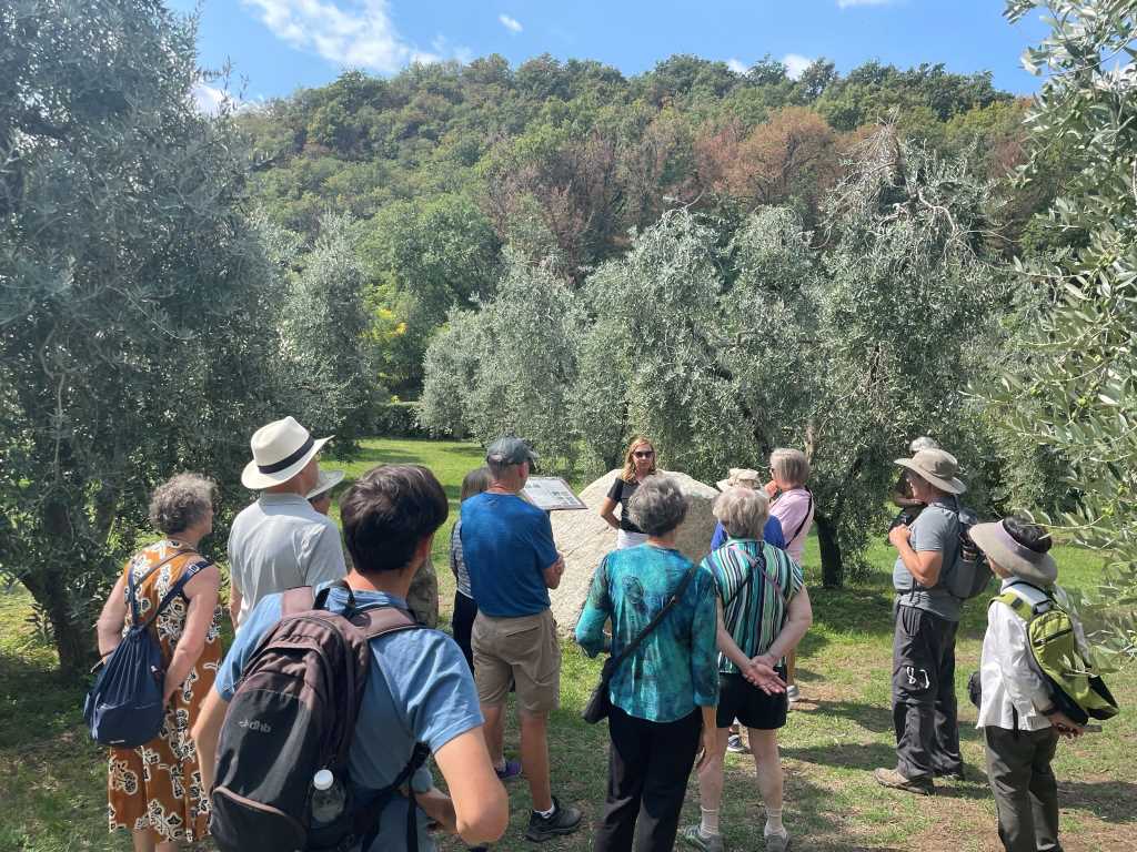 Scopri di più sull'articolo Visite in frantoio con degustazione