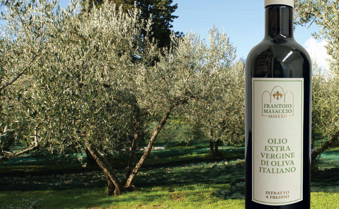 Scopri di più sull'articolo Tour dell’olio extravergine di oliva